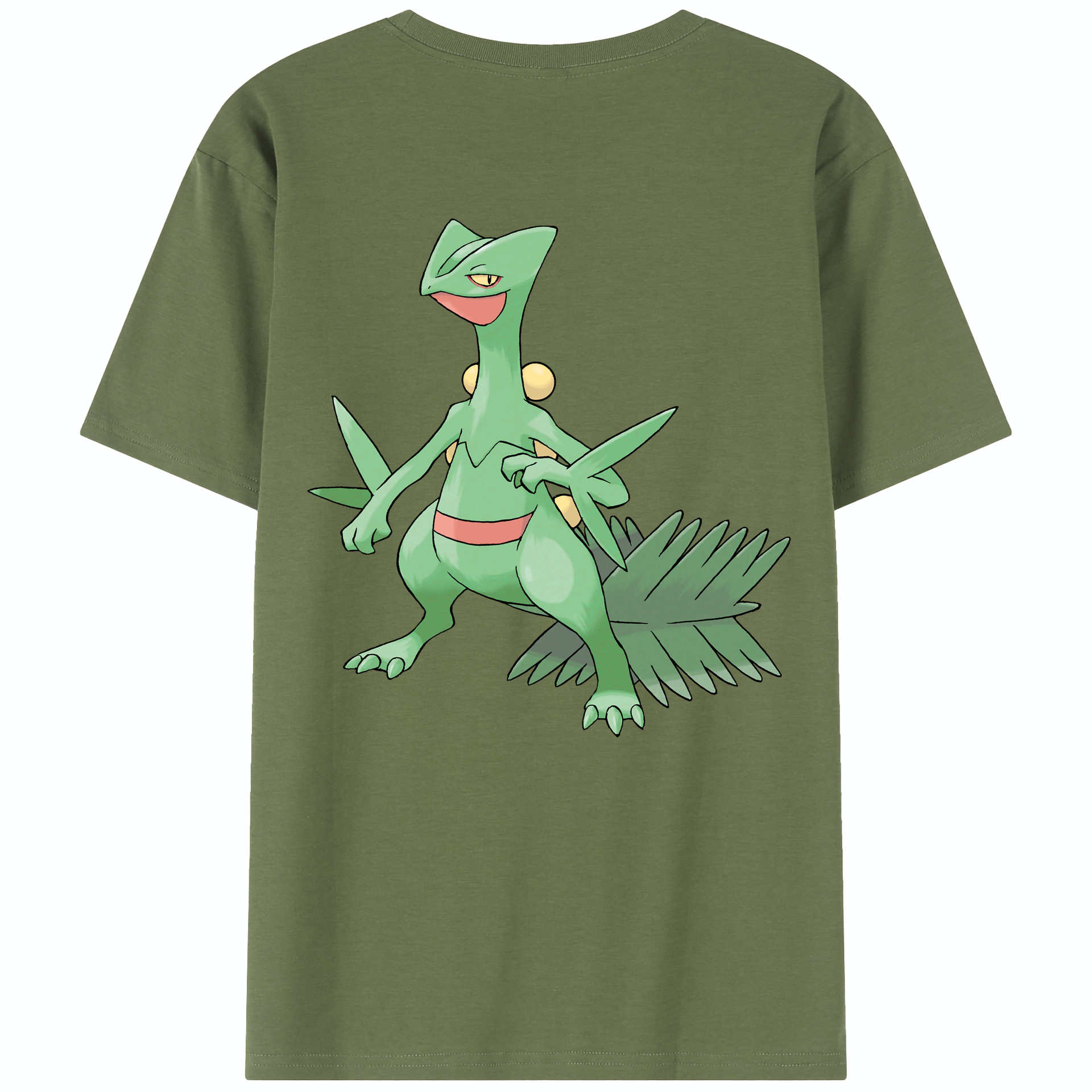 （画像用） ポケットモンスター Pokémon 綿100％半袖Tシャツ（背面プリント）